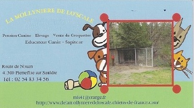 de la mollyniere de lo'scale - Création d'une carte de fidélité pour la Pension Canine