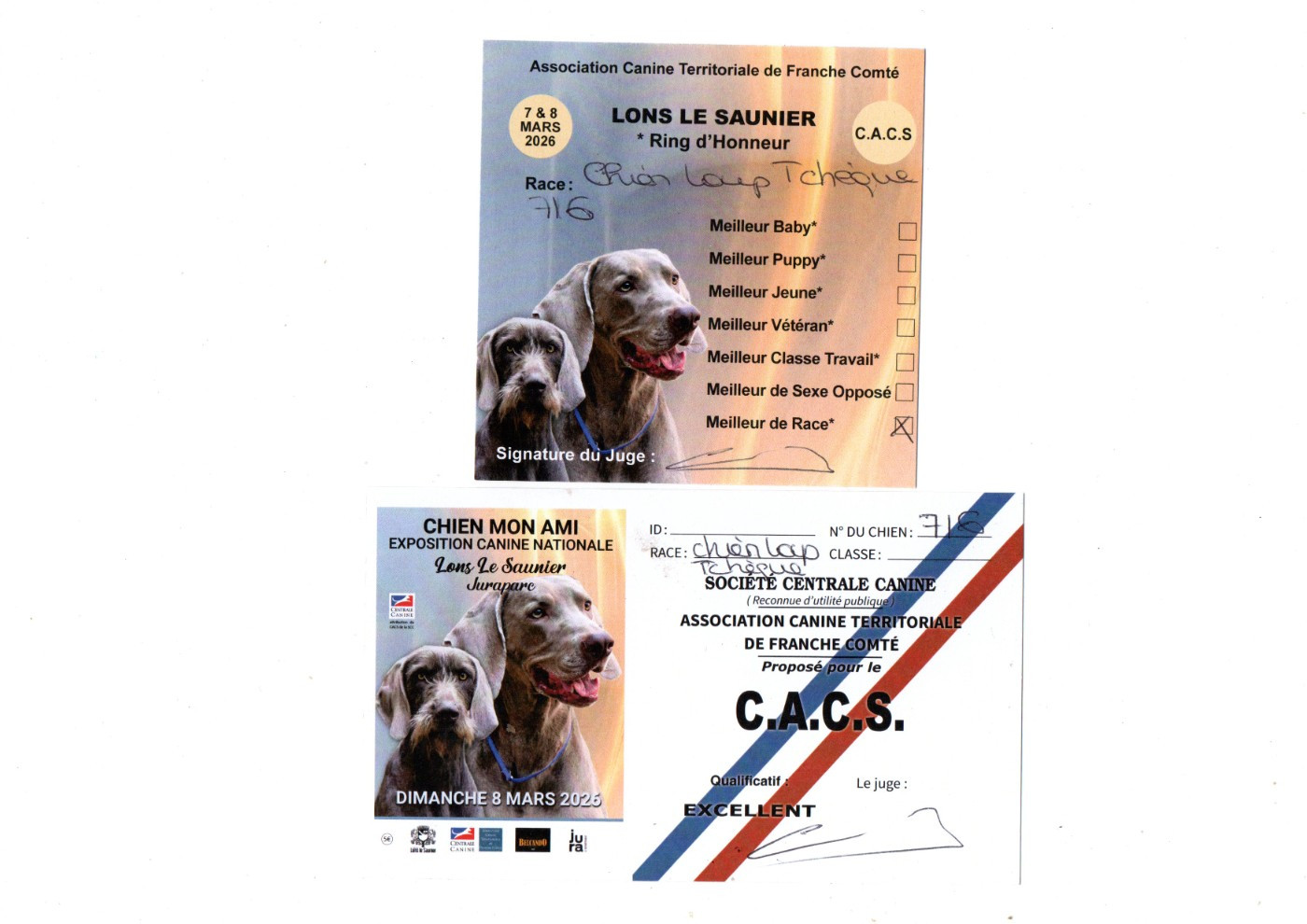 Lons le Saunier - CSAU & CACS - Meilleur de Race