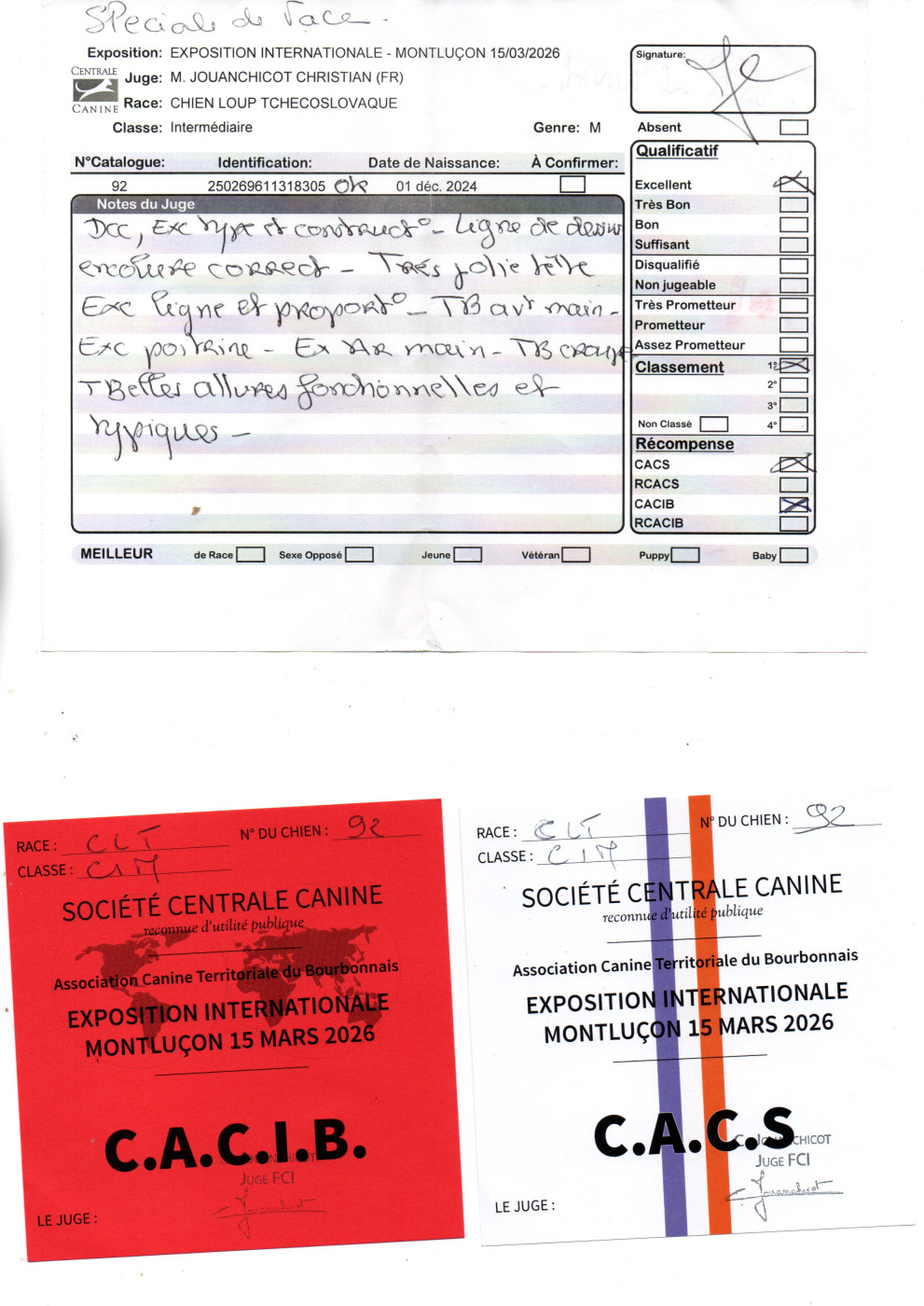 "Spéciale de Race" - Montluçon - CACS et CACIB