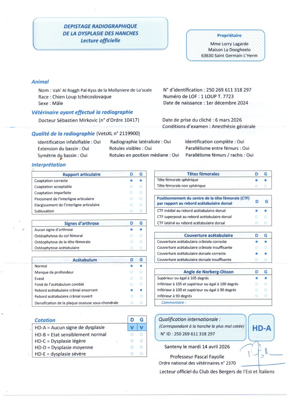 Nouvel étalon potentiel chez les MLS