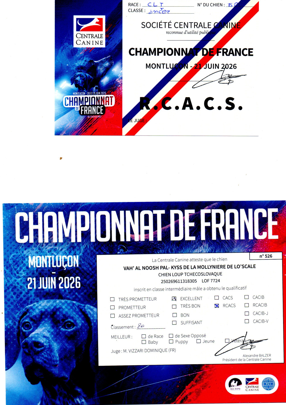 Vice-Champion de France