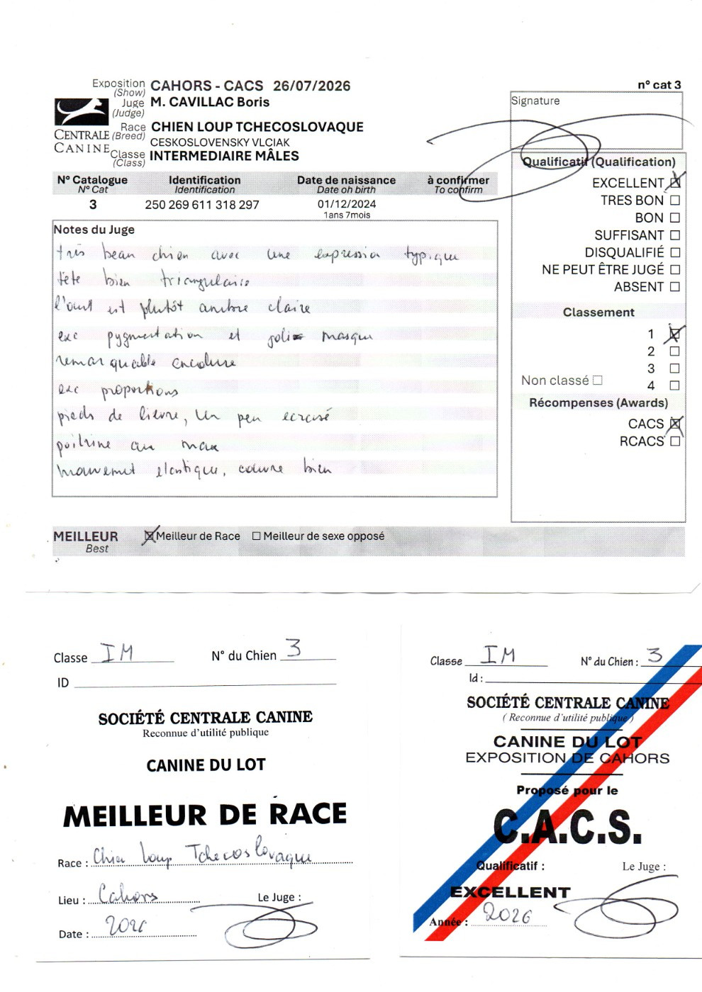 Cahors - Vah'Al Rôggh Pal-Kyss de la Mollyniere de Lo'Scale