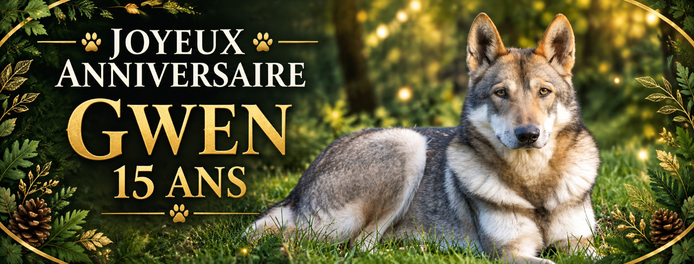 de la mollyniere de lo'scale - Gwenn dite la Magnifique fête ses 15 ans