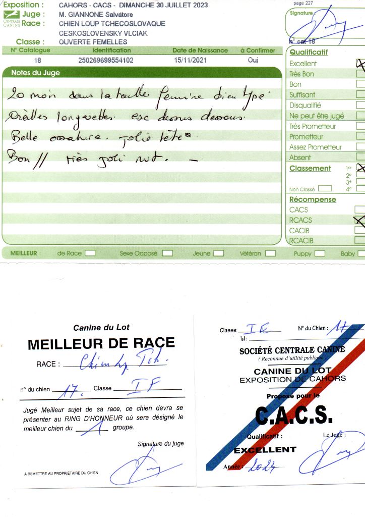de la mollyniere de lo'scale - Les soeurs Baj'Gwé's au CACS de Cahors