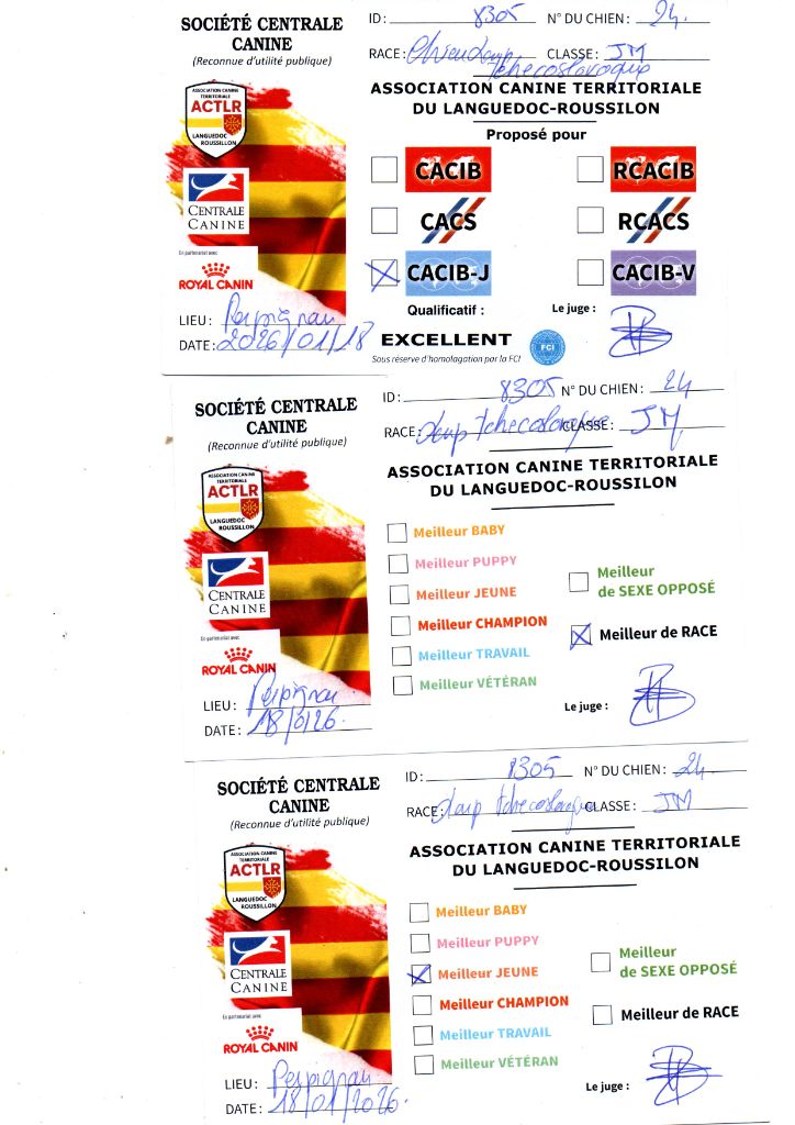 CACS - CACIB   Perpignan - 2 jours 